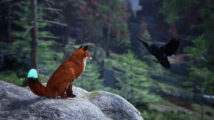 Just Vibes and Jumping Foxes – My Time with Spirit of the North 2
